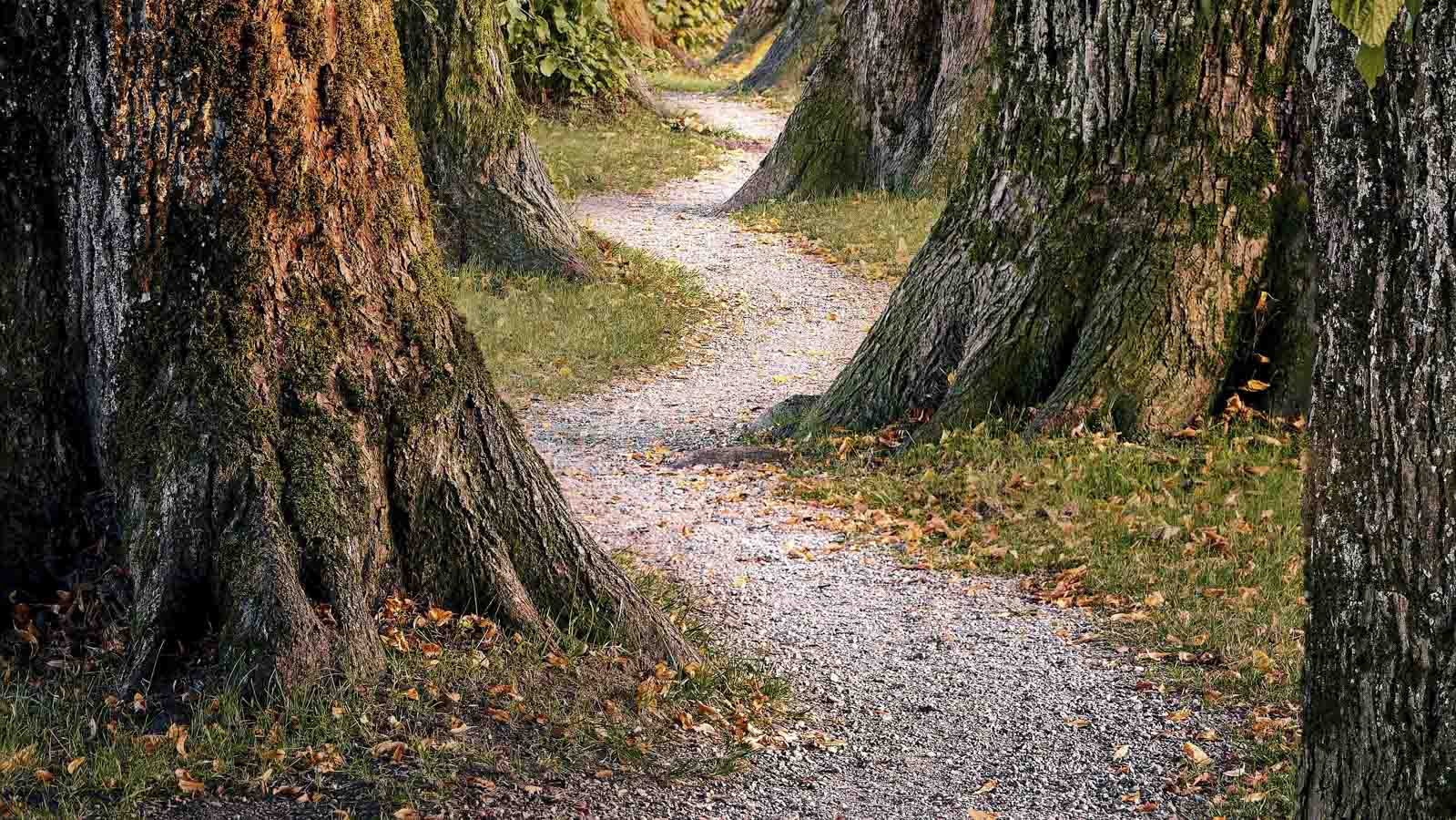Designing a pathway into employment